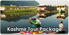 incredible india tours