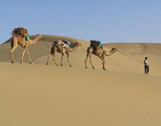 Rajasthan Tour Package